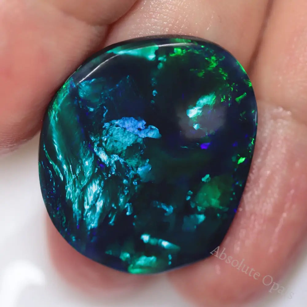 Black Opal